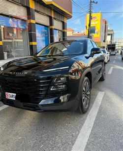 جیتۆر داشينگ